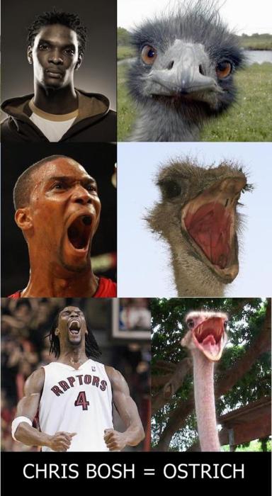 Chris Bosh - Ostrich. He is just so odd looking! 
